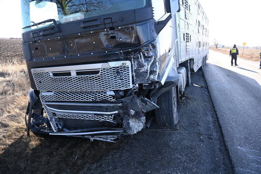 Cegléd, 2022. január 30.
Sérült kamion Cegléd közelében, a 311-es úton, miután a gépjármű összeütközött egy személyautóval 2022. január 30-án. A balesetben az autójába beszorult 67 éves sofőr életét vesztette.
MTI/Mihádák Zoltán