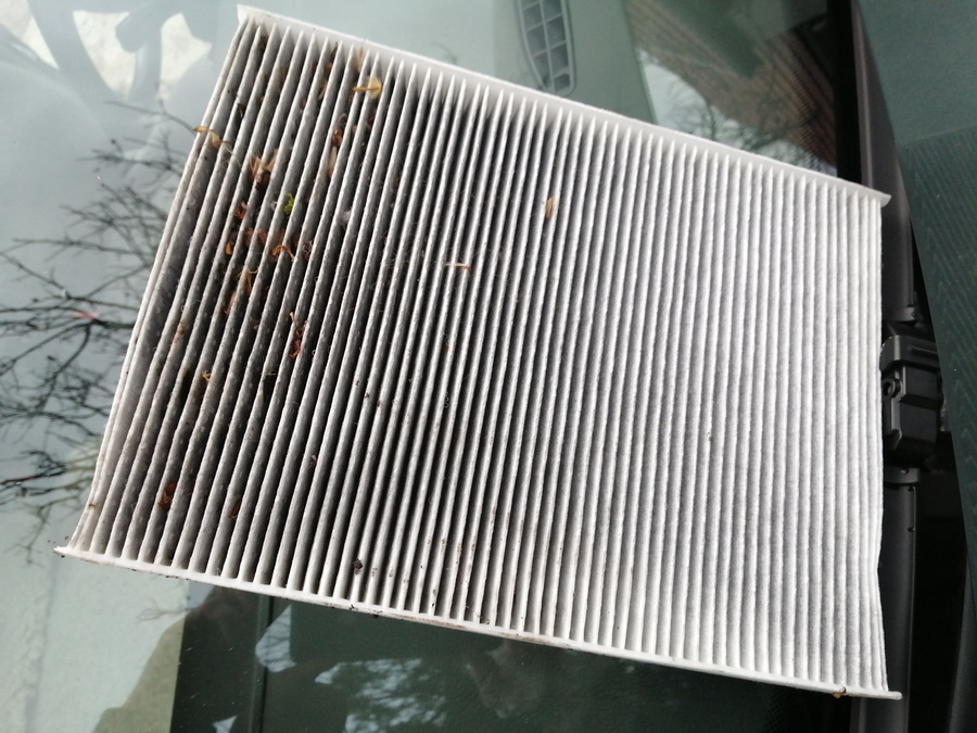 2211 Pollenszuro Levelracs